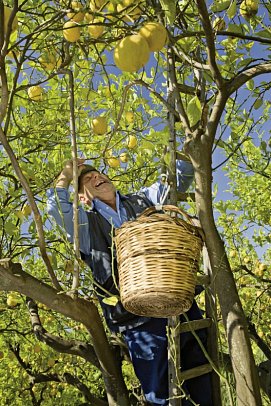 Agriturismo Terrenia