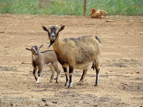 Agriturismo Case di Latomie