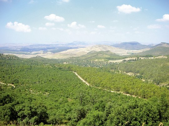 Agriturismo Vecchia Masseria