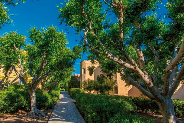 Mangia’s Brucoli, Sicily, Autograph Collection