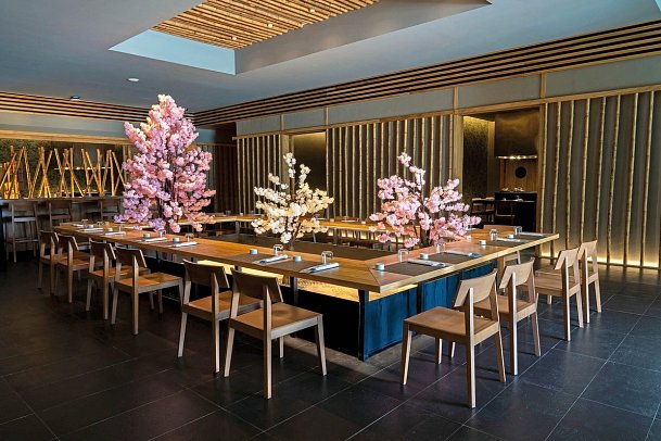 Majestic Elegance Costa Mujeres