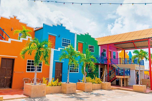 The Ritz Village