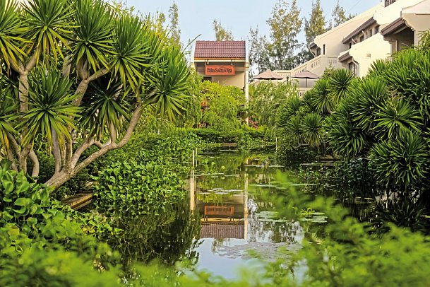 Palm Garden Resort