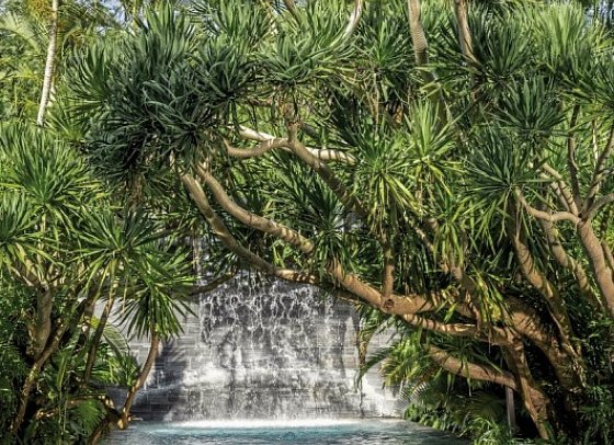 Tia Wellness Resort