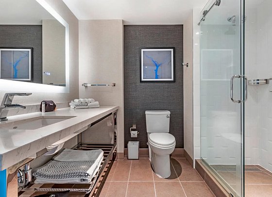 Cambria Hotel Washington D.C. Navy Yard Riverfront - Beispiel Bad