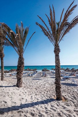 Quatre Saisons By Medina