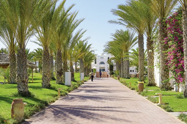 Club Palm Azur