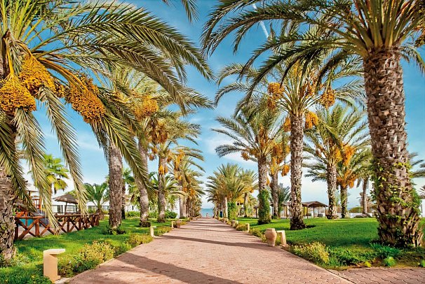 Club Palm Azur
