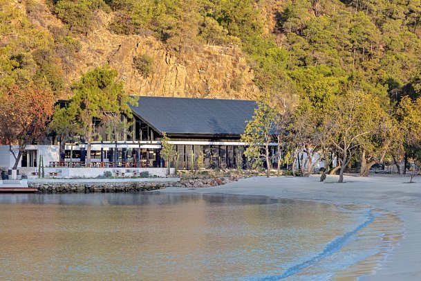 Ahama