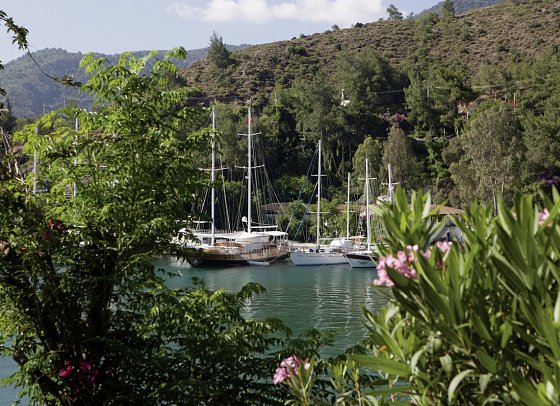 Club & Hotel Letoonia