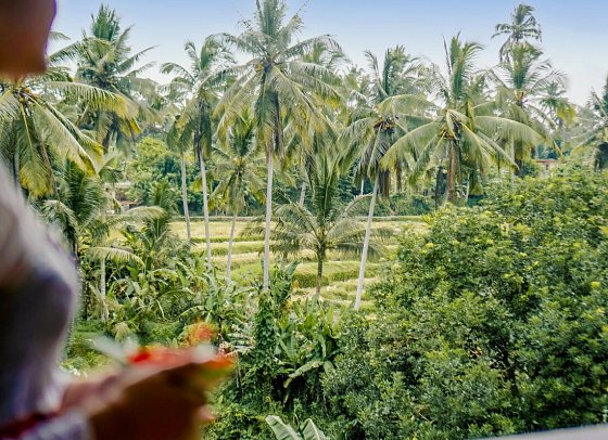 Sakti Garden Resort & Spa