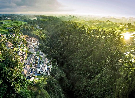 Viceroy Bali