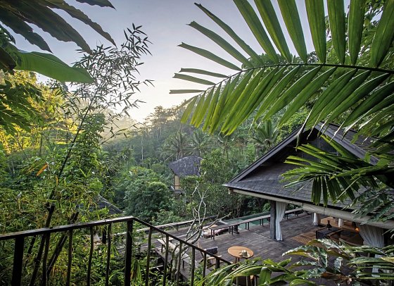 Buahan, a Banyan Tree Escape - Rainforest Pool Villa (Zimmercodierung VB1)