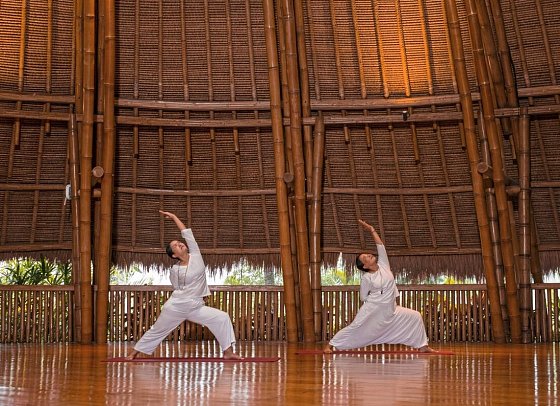 Fivelements Ubud