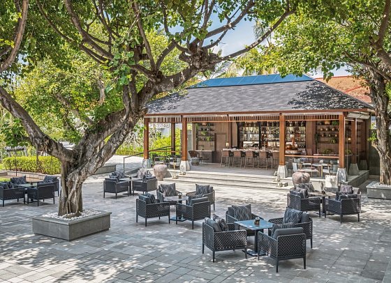 The Laguna A Luxury Collection Resort & Spa