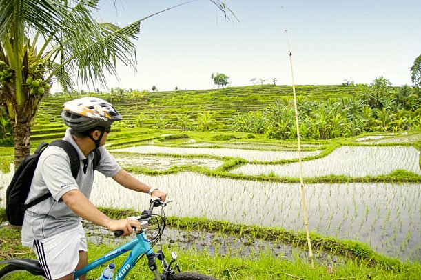 Puri Dajuma Beach Eco-Resort & Spa