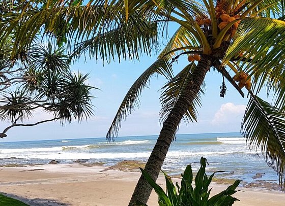 Puri Dajuma Beach Eco-Resort & Spa