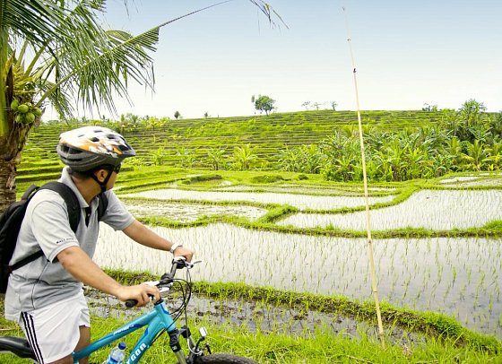 Puri Dajuma Beach Eco-Resort & Spa