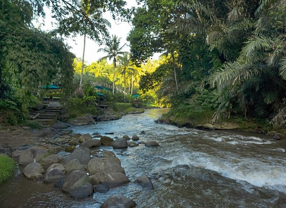 The Samaya Ubud Bali