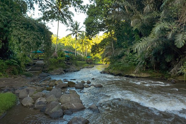 The Samaya Ubud Bali