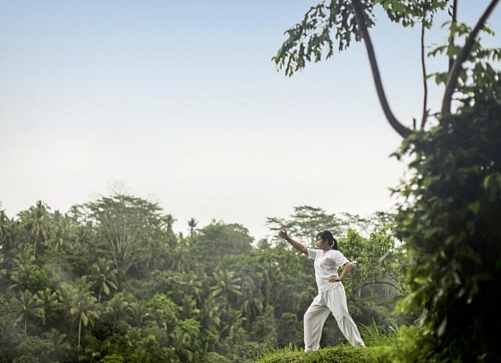 Alila Ubud