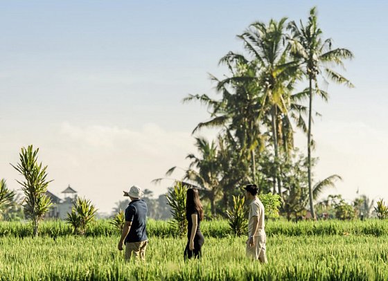 Alila Ubud