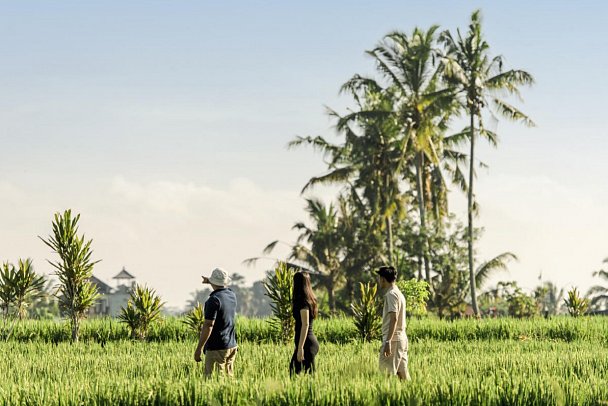 Alila Ubud