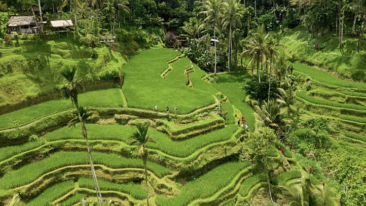 Alila Ubud