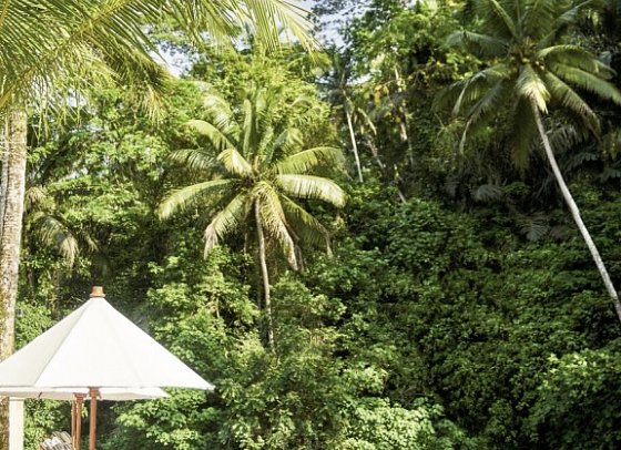 Four Seasons Resort Bali at Sayan