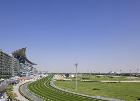 The Meydan Hotel