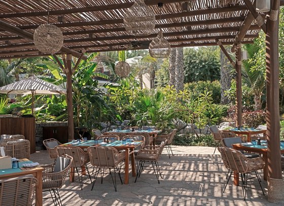 JA The Resort – JA Palm Tree Court