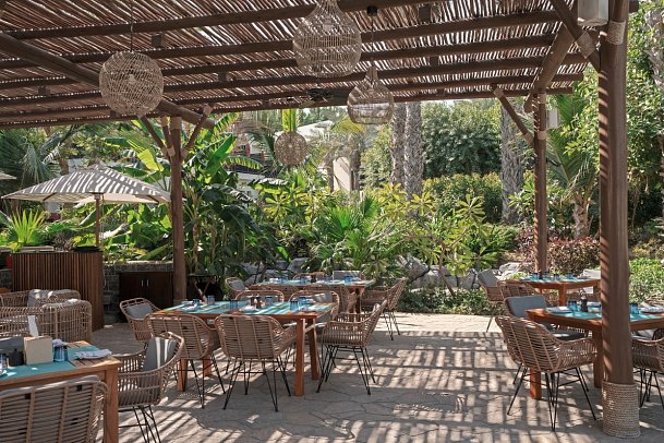 JA The Resort – JA Palm Tree Court