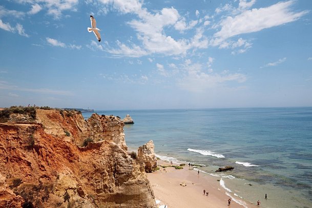 Turim Presidente Hotel