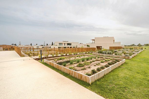 White Shell Beach Villas