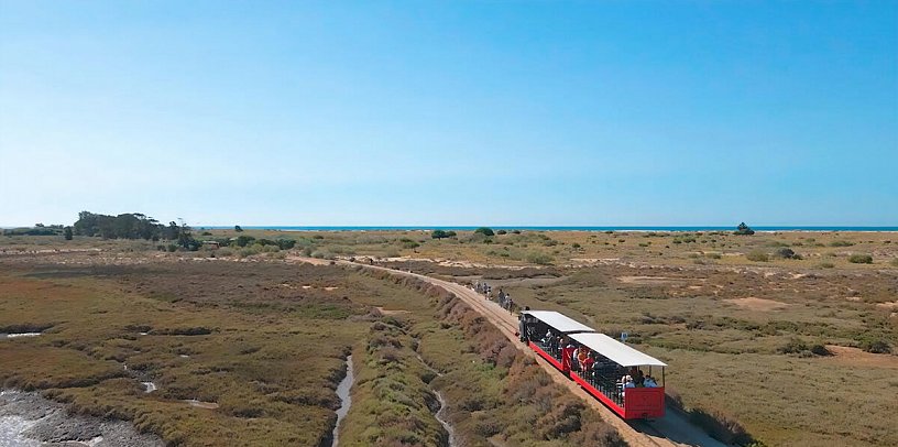 Pedras D'el Rei