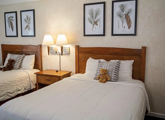 Yosemite View Lodge - Wohnbeispiel Classic Mountain View 2 Queen (Zimmercodierungen UG2 & UG3)