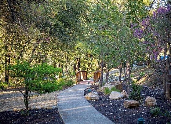 Yosemite Cedar Lodge