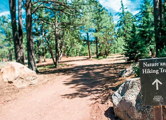 Little America Flagstaff