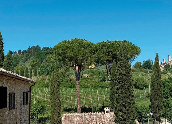 Tenuta Sovestro