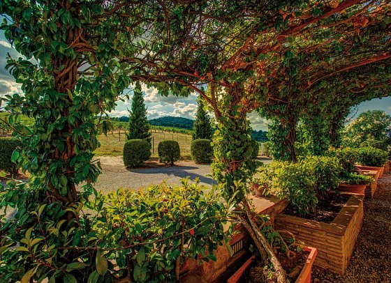 Il Casale del Cotone