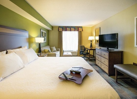 Hampton Inn Fort Myers Beach Sanibel Gateway - Wohnbeispiel Standard