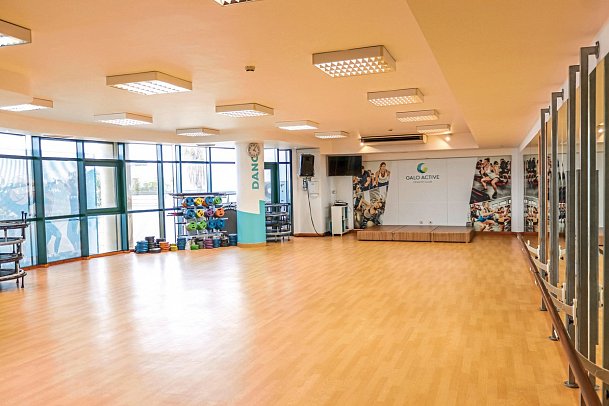 Sentido Galosol - Galo Active