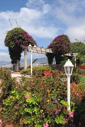 Ocean Gardens