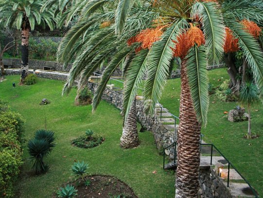 Baía Madeira Hotel