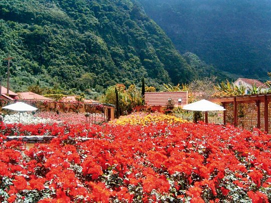 Pestana Quinta do Arco & Rose Garden Hotel