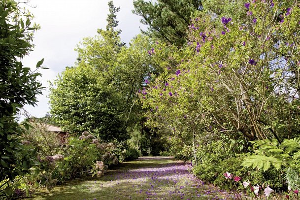Quinta Santo Antonio da Serra