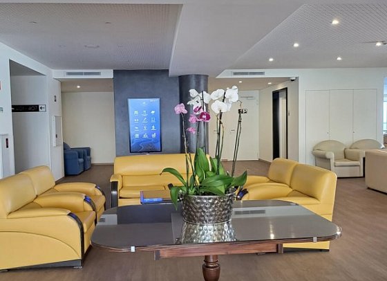 Royal Orchid