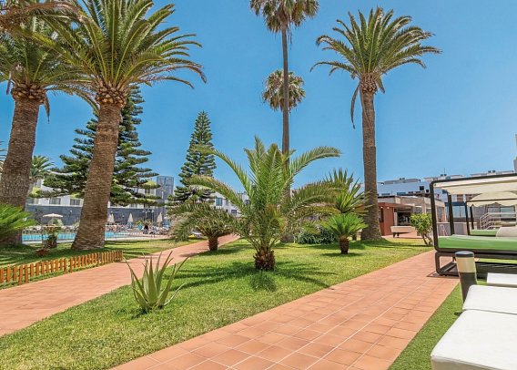 LIVVO Corralejo Beach