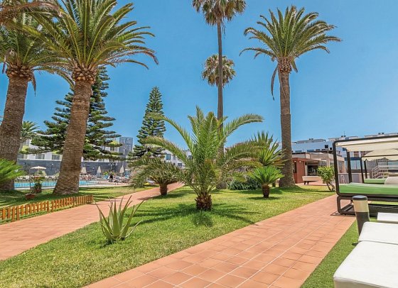 LIVVO Corralejo Beach