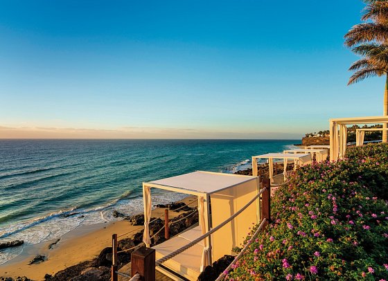 Royal Palm Resort & Spa